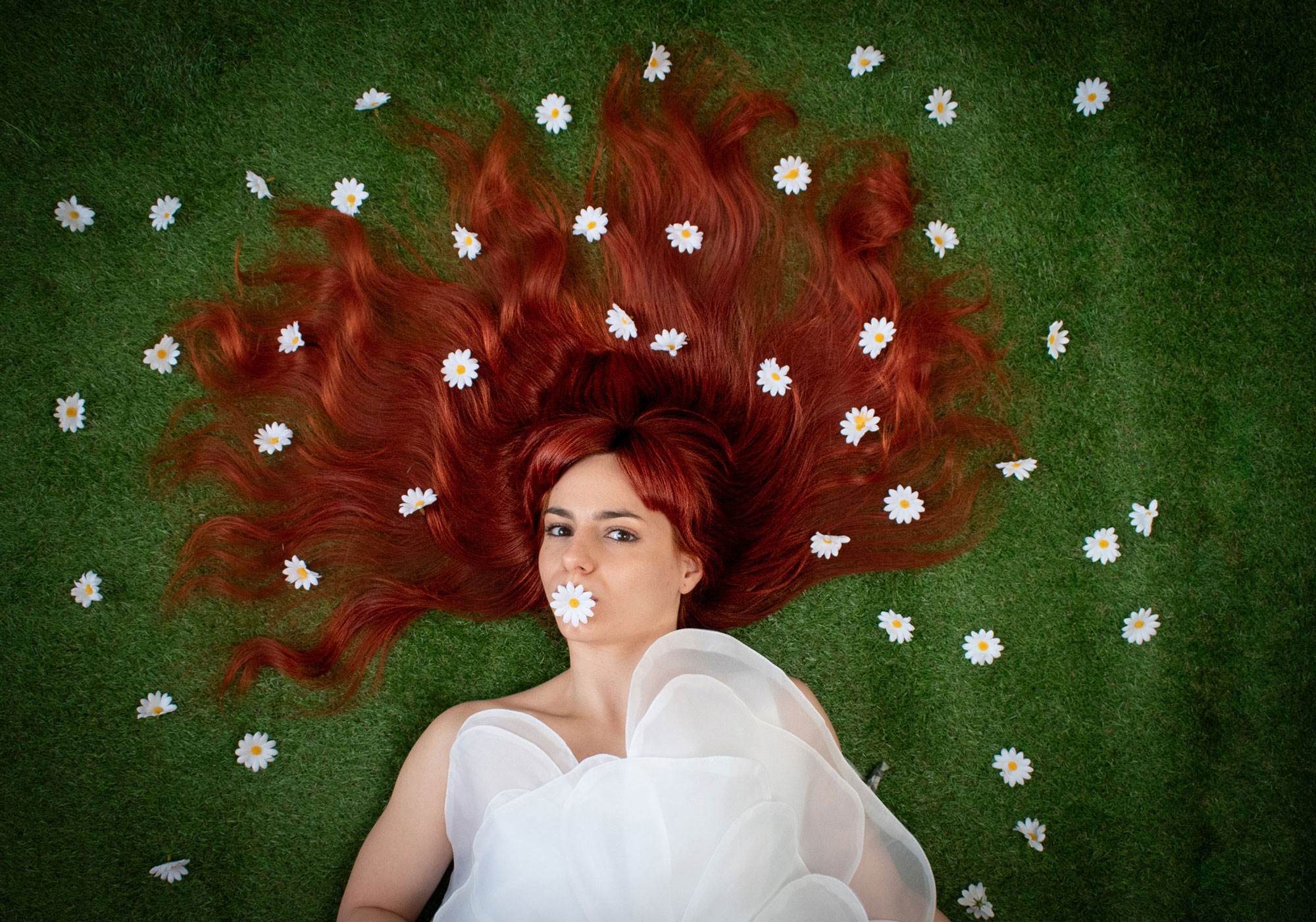 Hermes Studios - gallery image 6