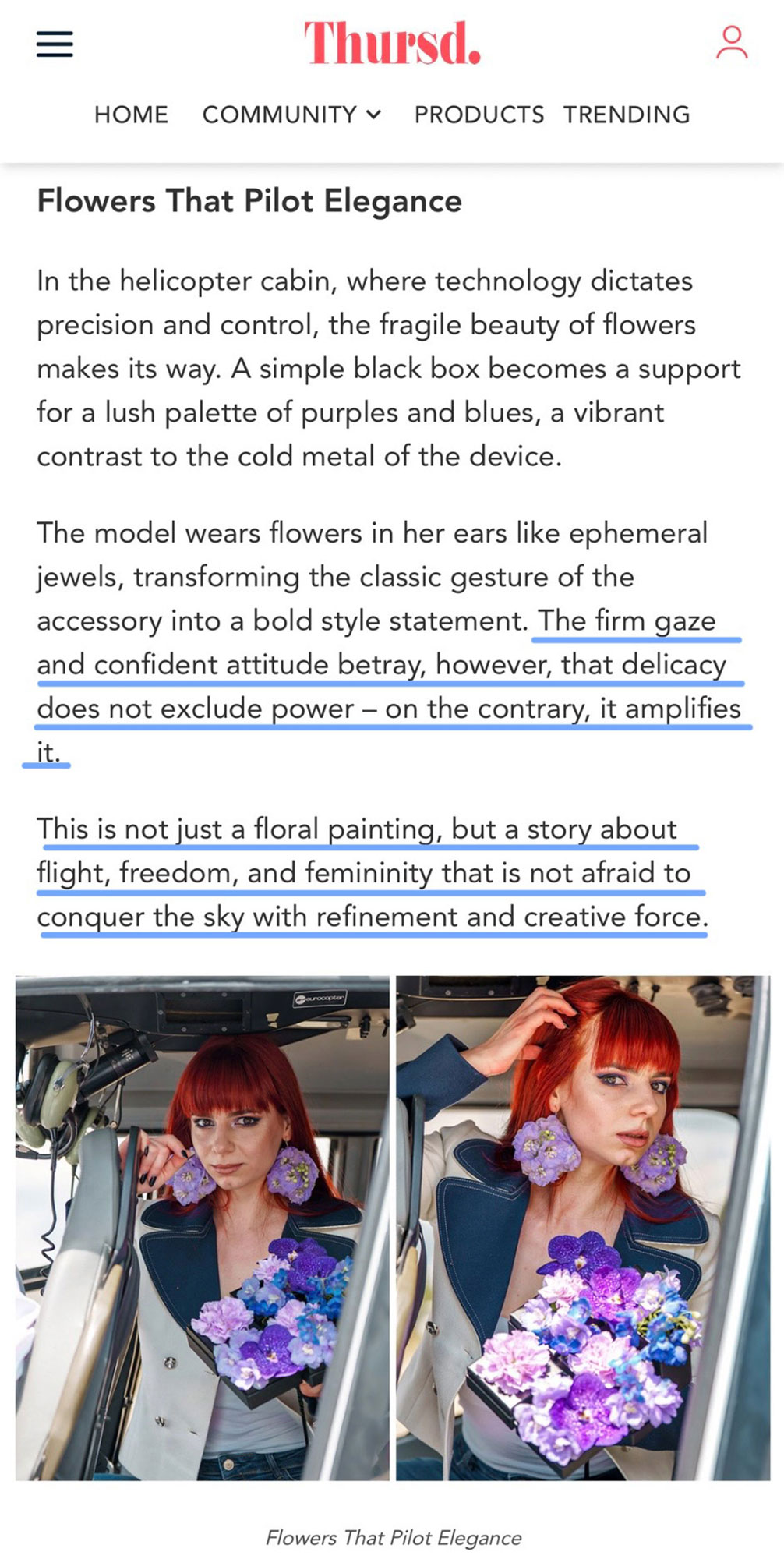 Thursd - gallery image 5